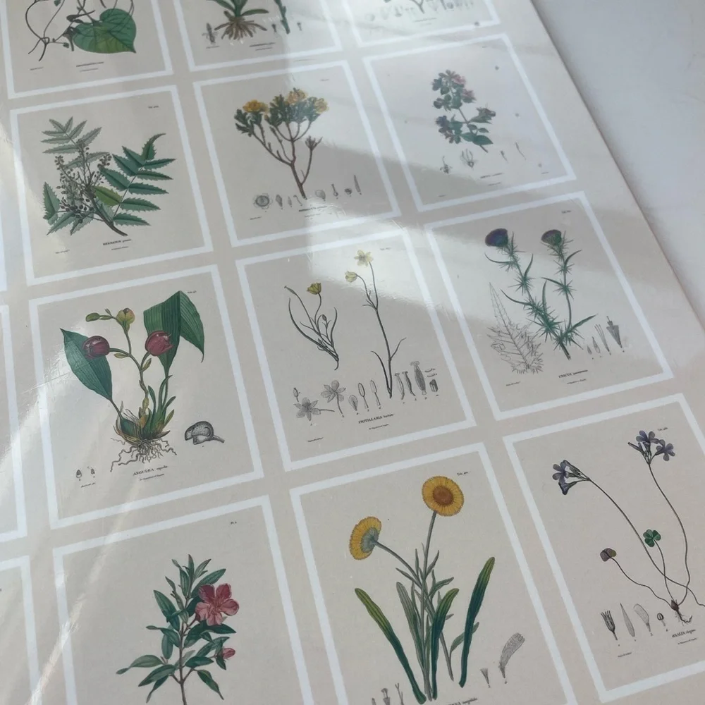 NWT Urban Outfitters Alexander von Humboldt Botanical Illustrations 22 Posters